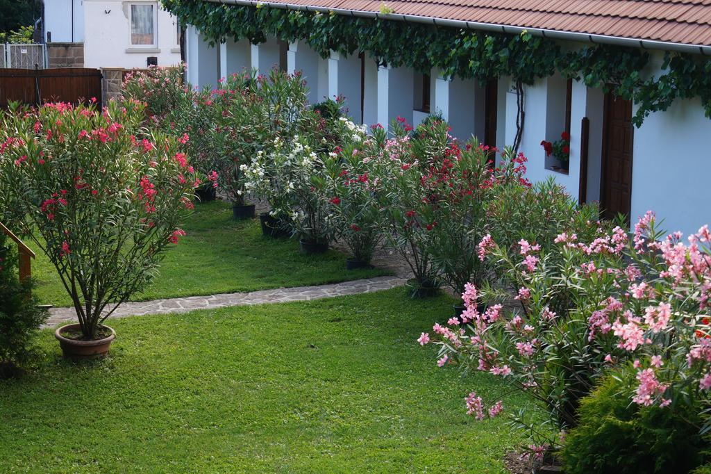 Cseresznyés Vendégház Szomolya Extérieur photo